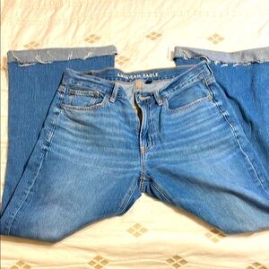 American Eagle Low Rise Baggy Flare 6x30